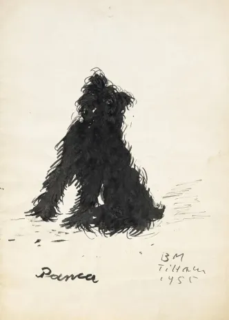 Panca 1955