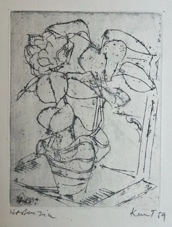Hortenzia