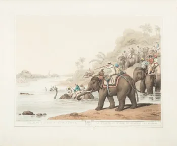 Chasing a tiger across a river 1819.